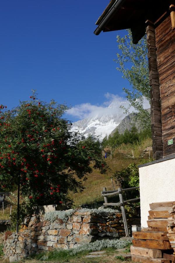 Chalet Birkhahn Saas-Fee Exterior photo