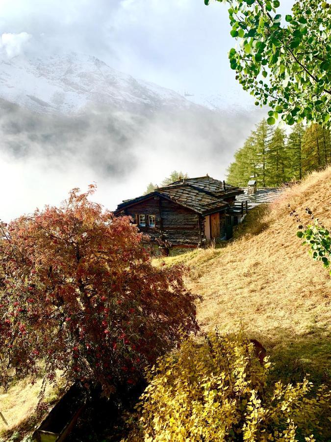 Chalet Birkhahn Saas-Fee Exterior photo